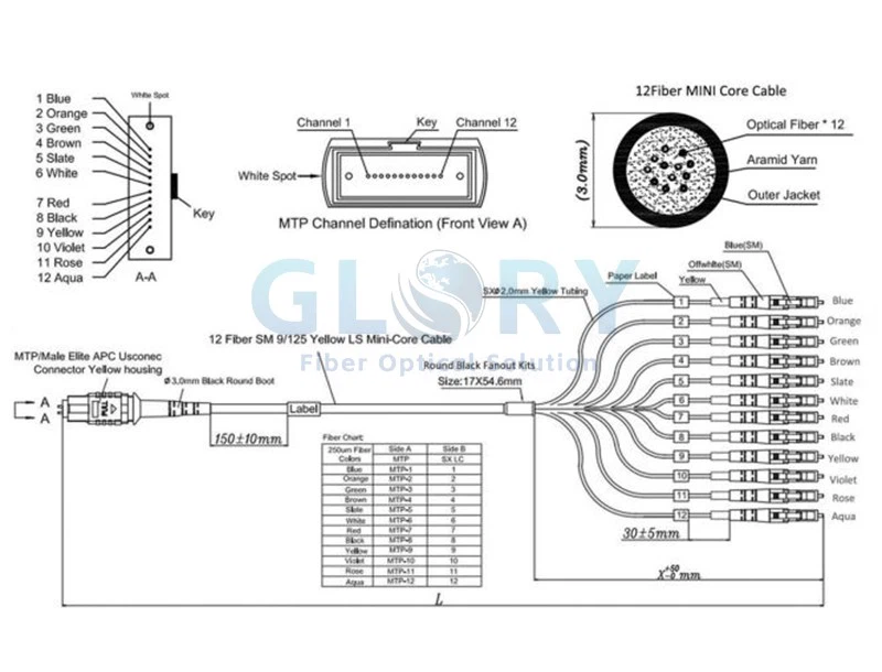 Mtp Mpo Fiber Breakout Cable structure Mtp Mpo Fiber Breakout Cable structure